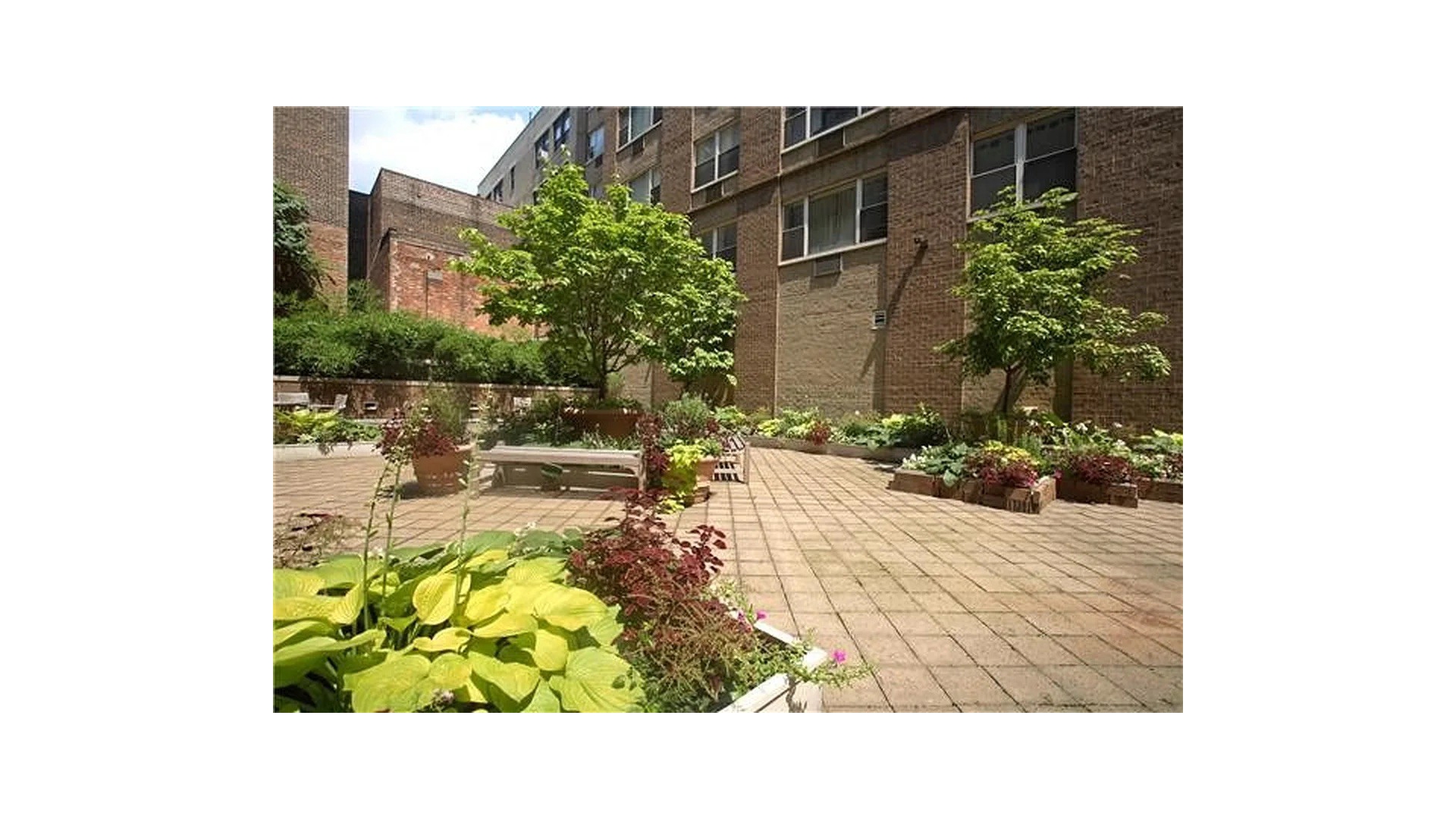 #7 photo, 301 ELIZABETH Street, NoHo , NY 10012