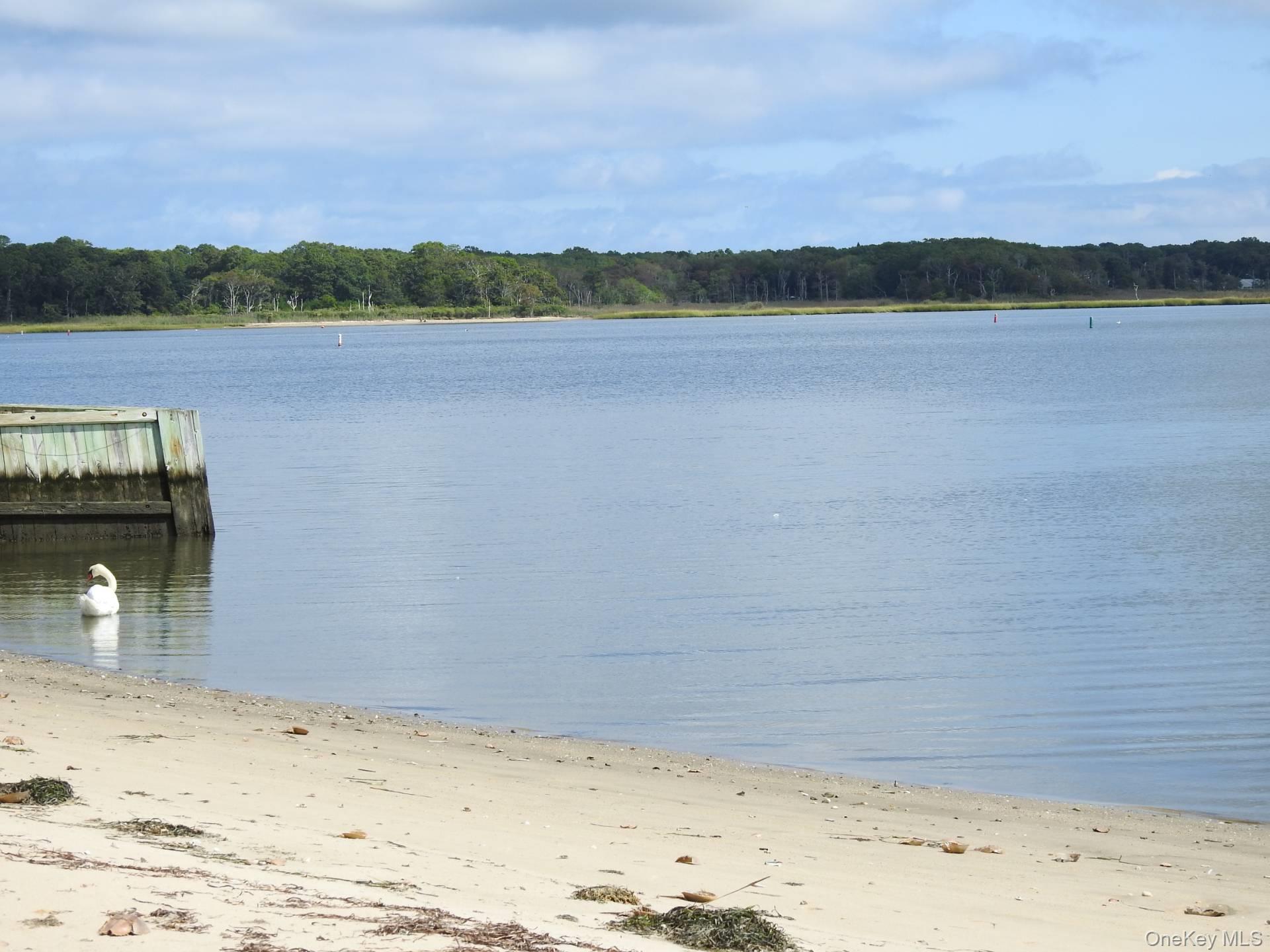 #16 photo, East Quogue, East Quogue , NY 11942