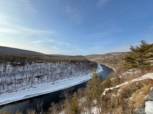 #10 photo, Lot 48.3 & 48.2 High Road, Glen Spey , NY 12737