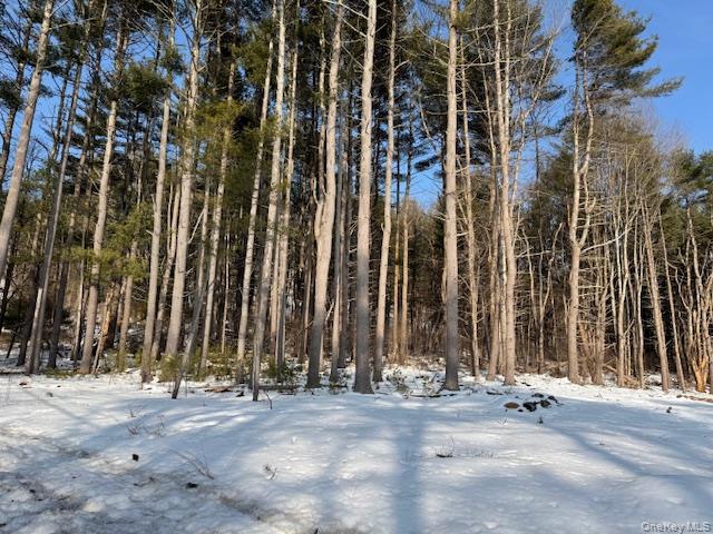 #2 photo, Lot 48.3 & 48.2 High Road, Glen Spey , NY 12737