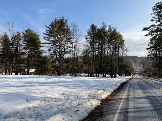 #4 photo, Lot 48.3 & 48.2 High Road, Glen Spey , NY 12737