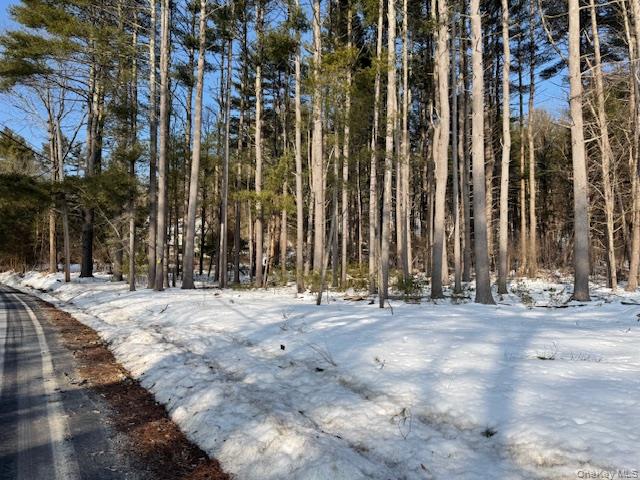 #5 photo, Lot 48.3 & 48.2 High Road, Glen Spey , NY 12737