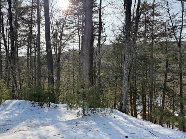 #6 photo, Lot 48.3 & 48.2 High Road, Glen Spey , NY 12737