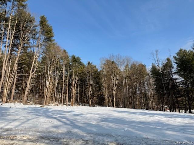 #7 photo, Lot 48.3 & 48.2 High Road, Glen Spey , NY 12737
