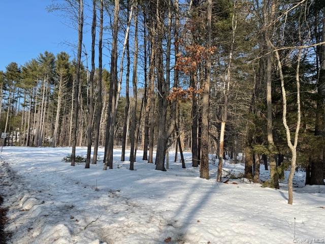 #8 photo, Lot 48.3 & 48.2 High Road, Glen Spey , NY 12737