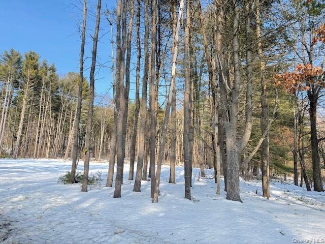 #9 photo, Lot 48.3 & 48.2 High Road, Glen Spey , NY 12737