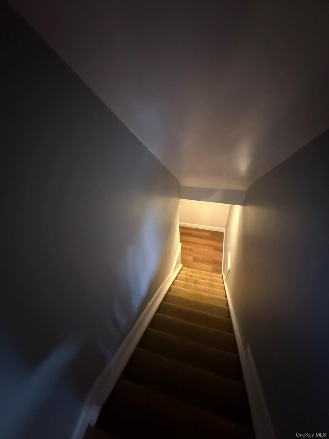 #9 photo, 396 Chestnut Avenue, מחוז נסאו East Meadow , NY 11554