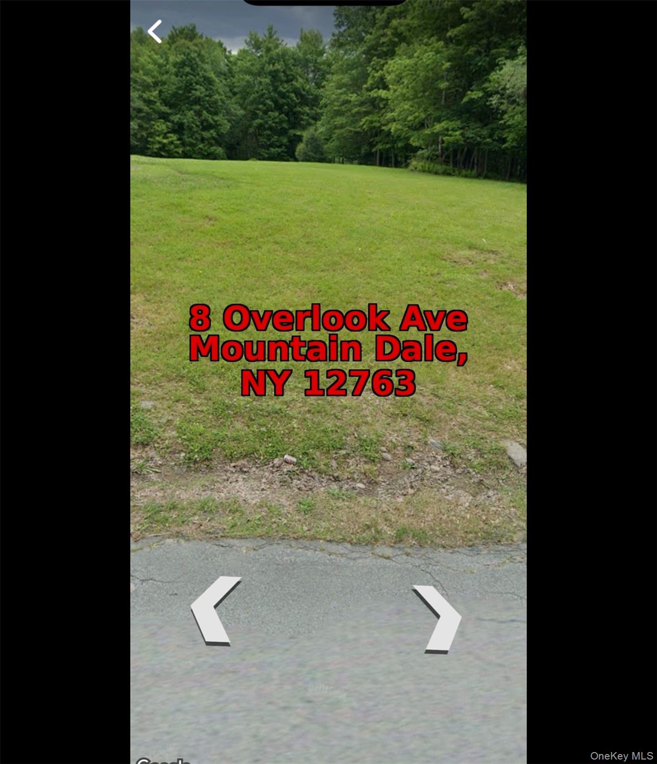 #2 photo, 8 Overlook Avenue, Mountain Dale , NY 12763