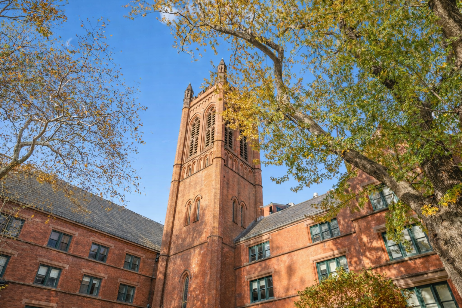 #18 photo, 177 Ninth Avenue, 맨해튼 Chelsea , NY 10011