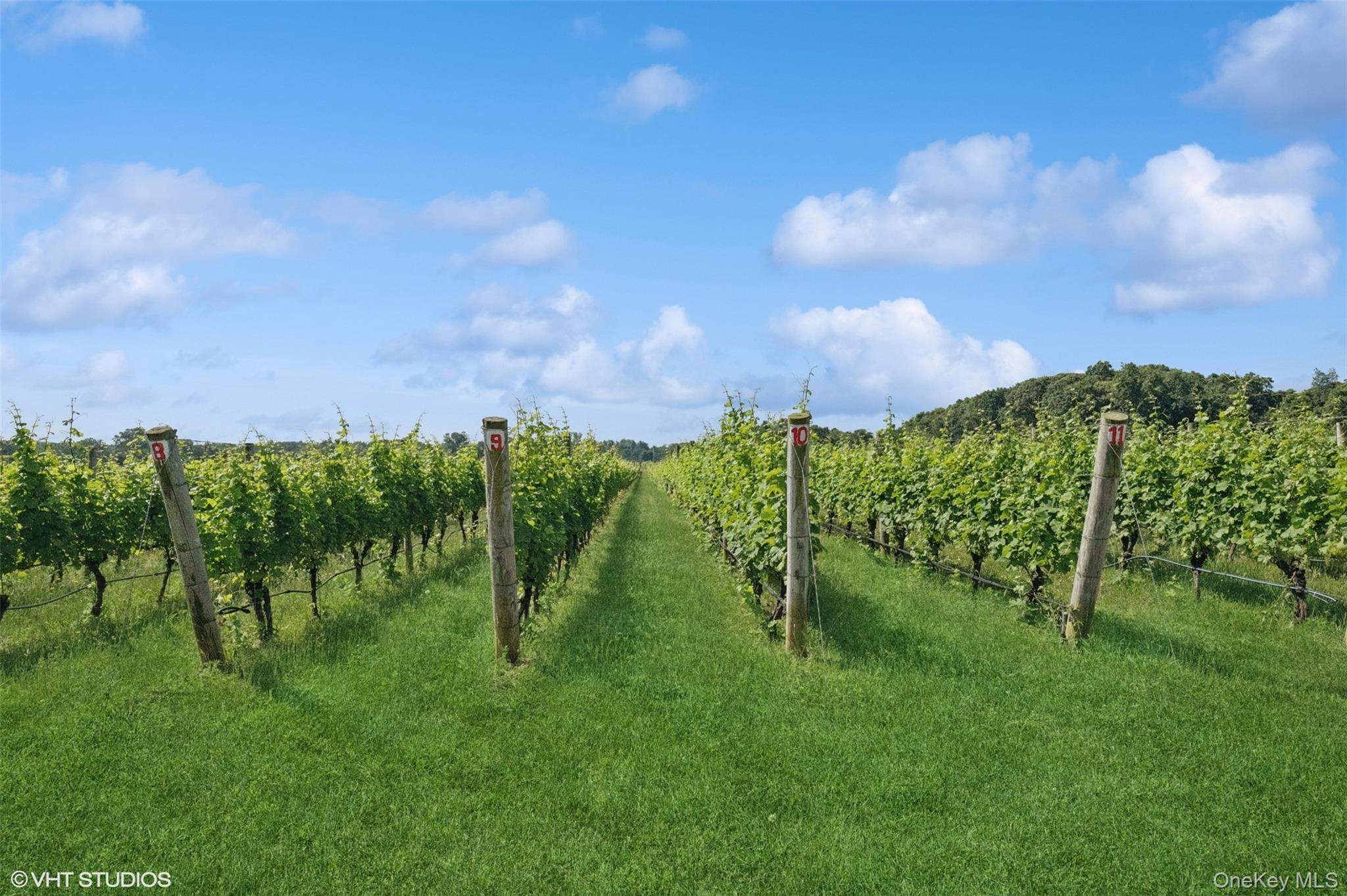 #16 photo, 5195 Old North Road, 东长岛 Southold , NY 11971