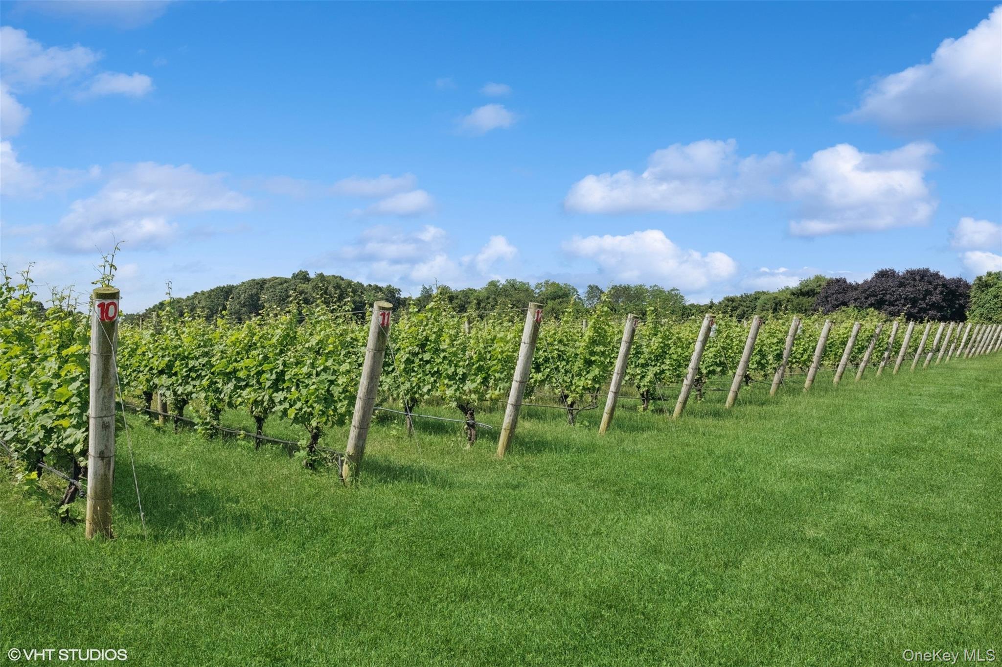 #8 photo, 5195 Old North Road, 东长岛 Southold , NY 11971