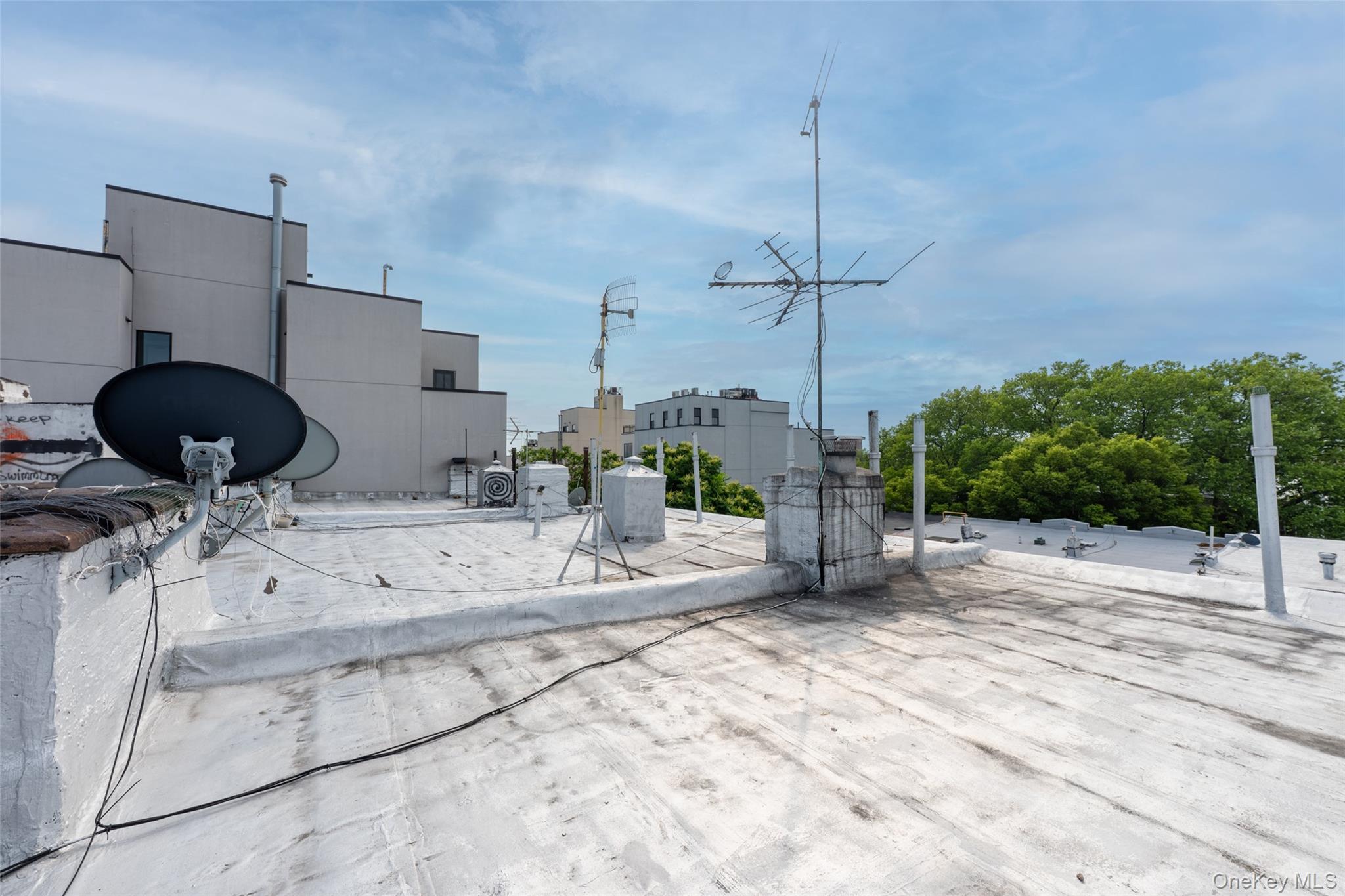 #11 photo, 1517 jefferson, Brooklyn , NY 11237