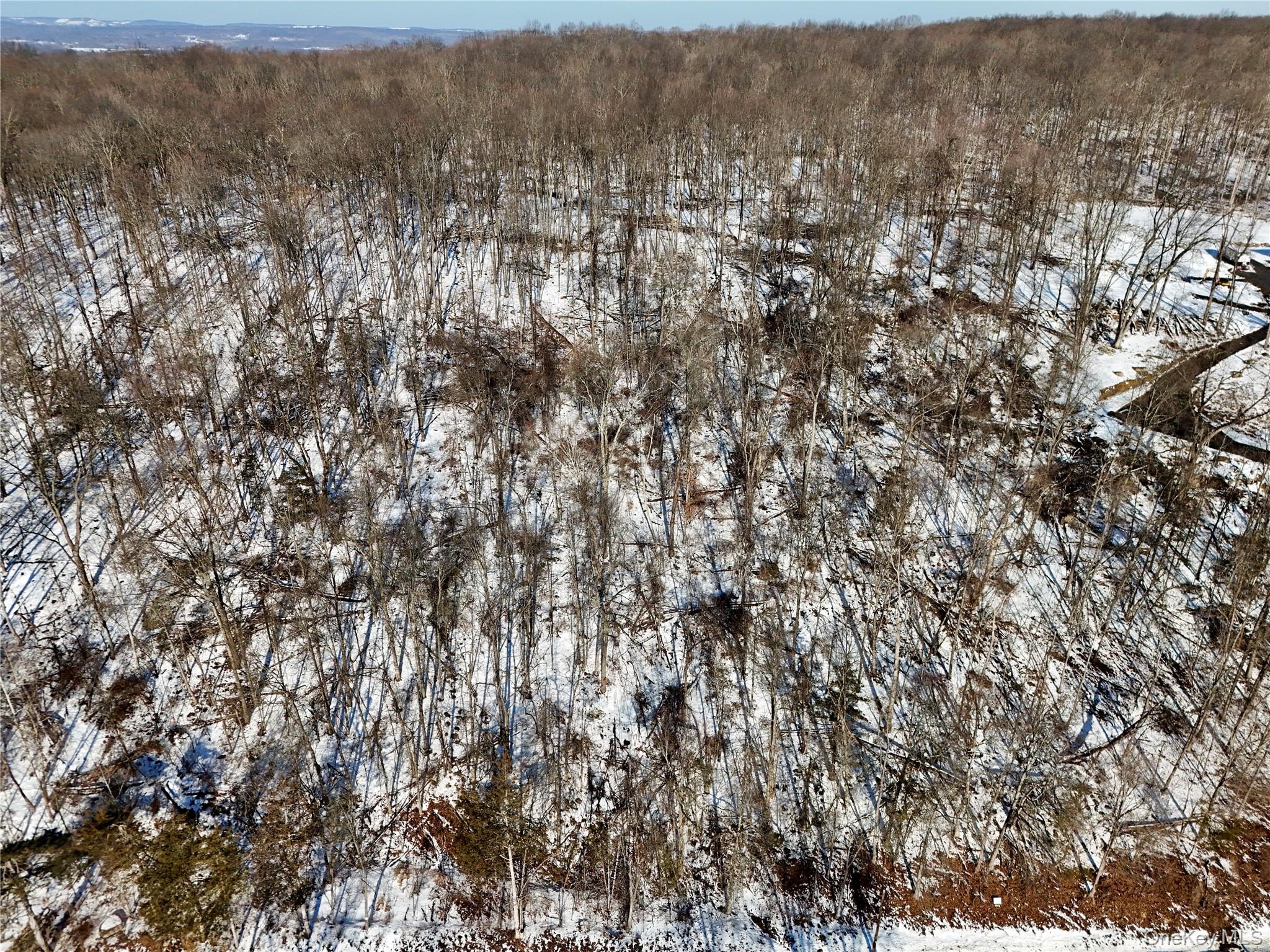 #11 photo, TBD County Route 12, New Hampton , NY 10958