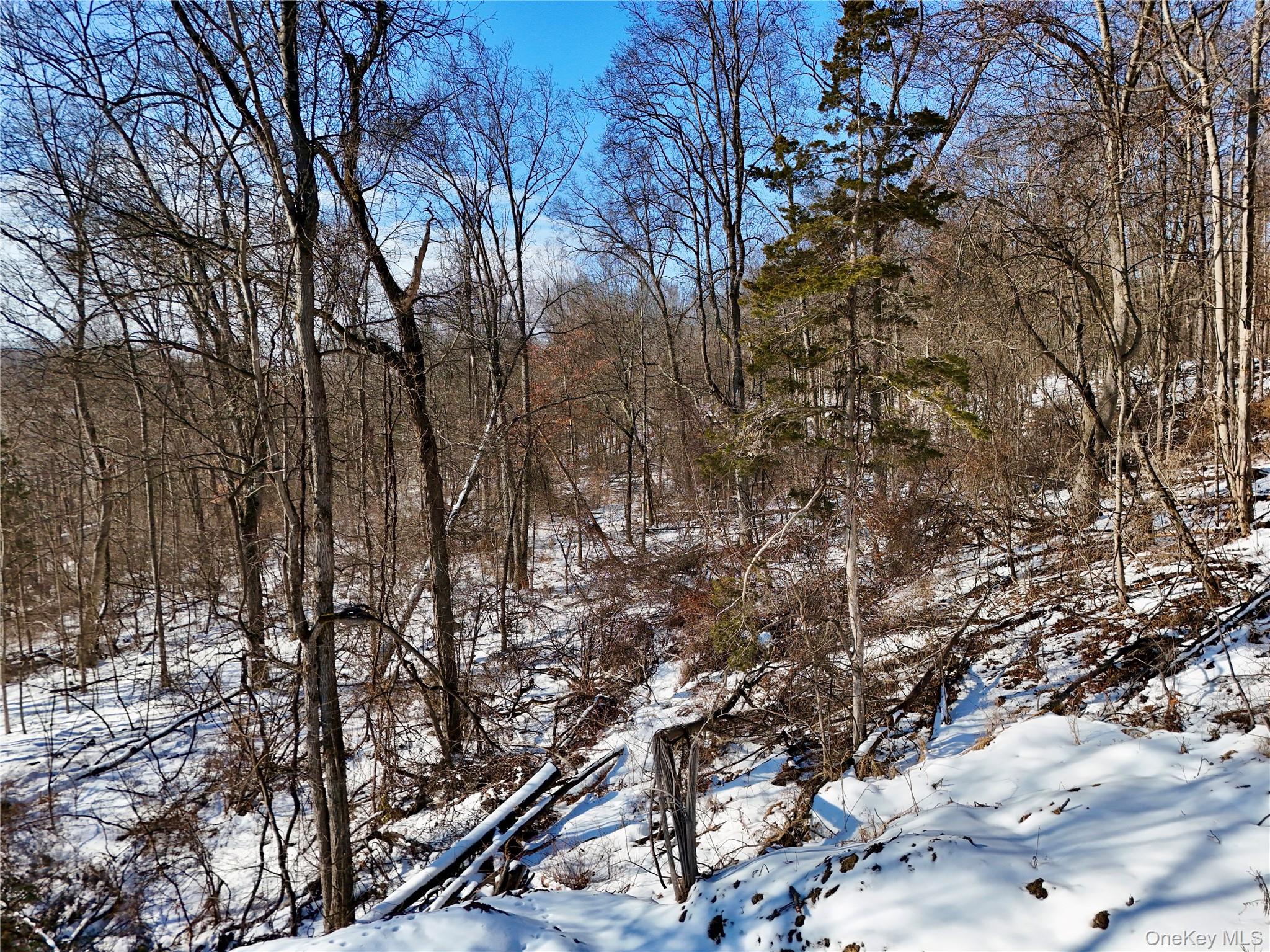 #13 photo, TBD County Route 12, New Hampton , NY 10958