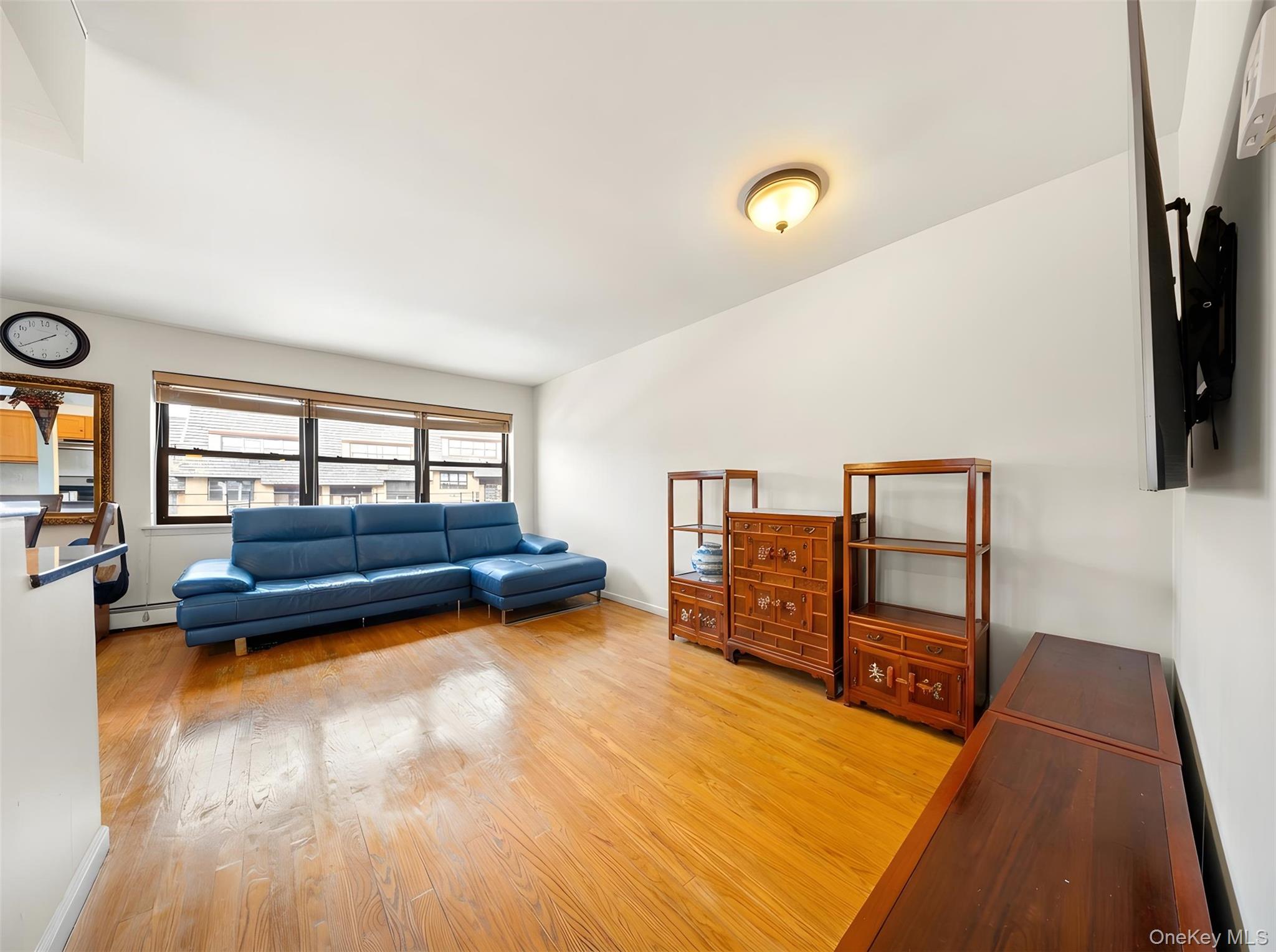 #10 photo, 240-22 70th Avenue, Little Neck , NY 11362