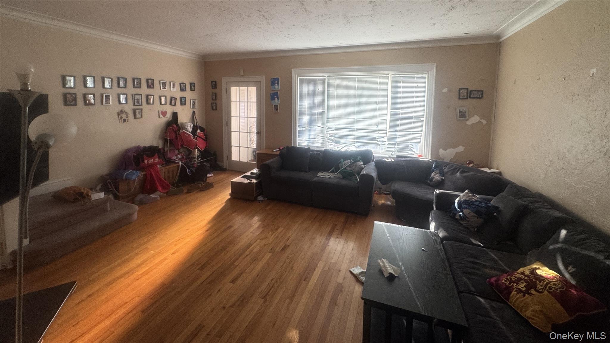 #2 photo, 64-61 82nd Place, Middle Village , NY 11379