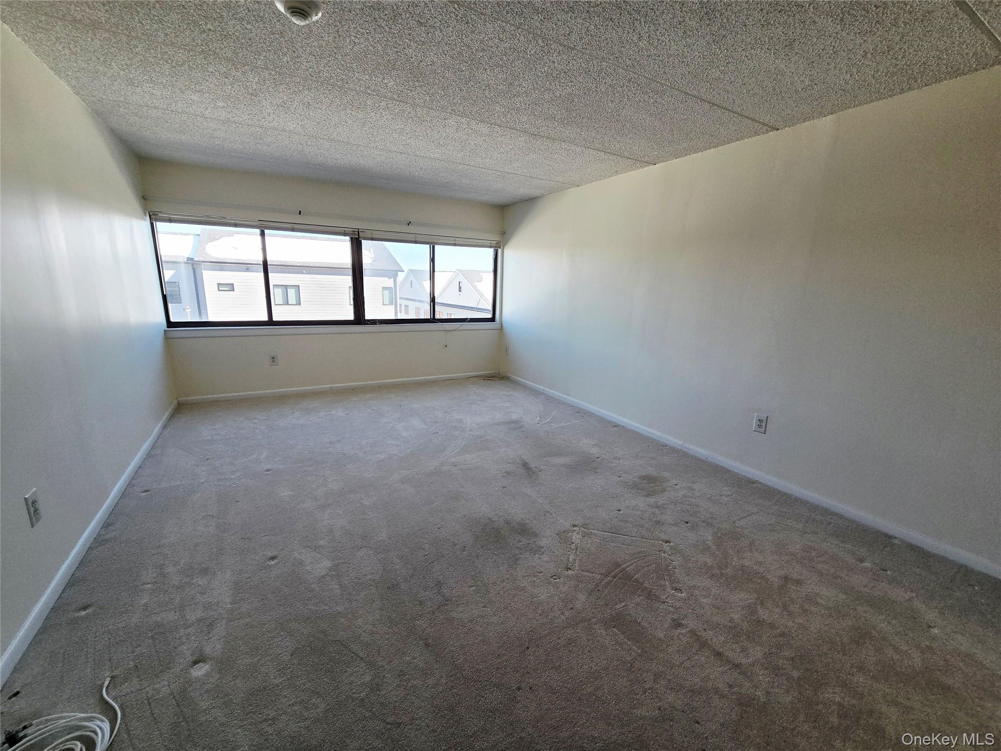 #7 photo, 142 Main Street, Mineola , NY 11501