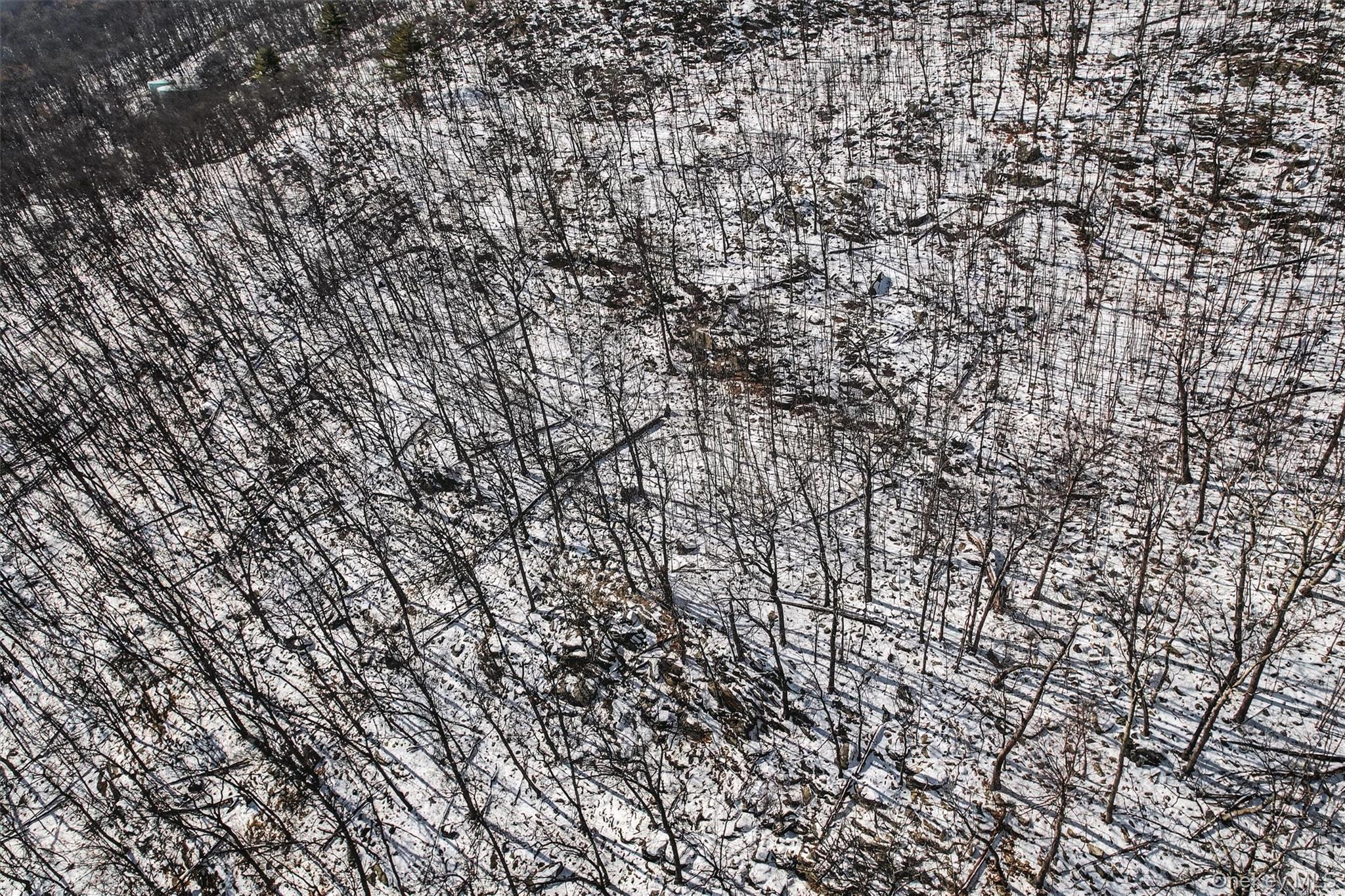 #16 photo, Louise Lane, Greenwood Lake , NY 10925