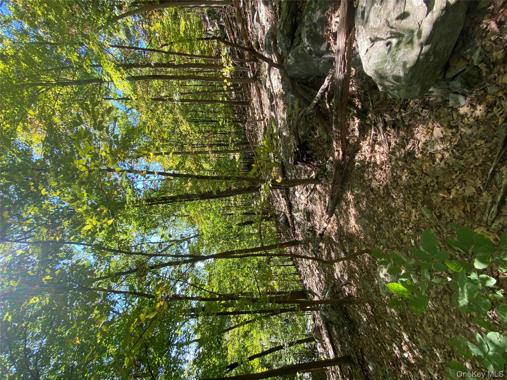 #3 photo, Louise Lane, Greenwood Lake , NY 10925