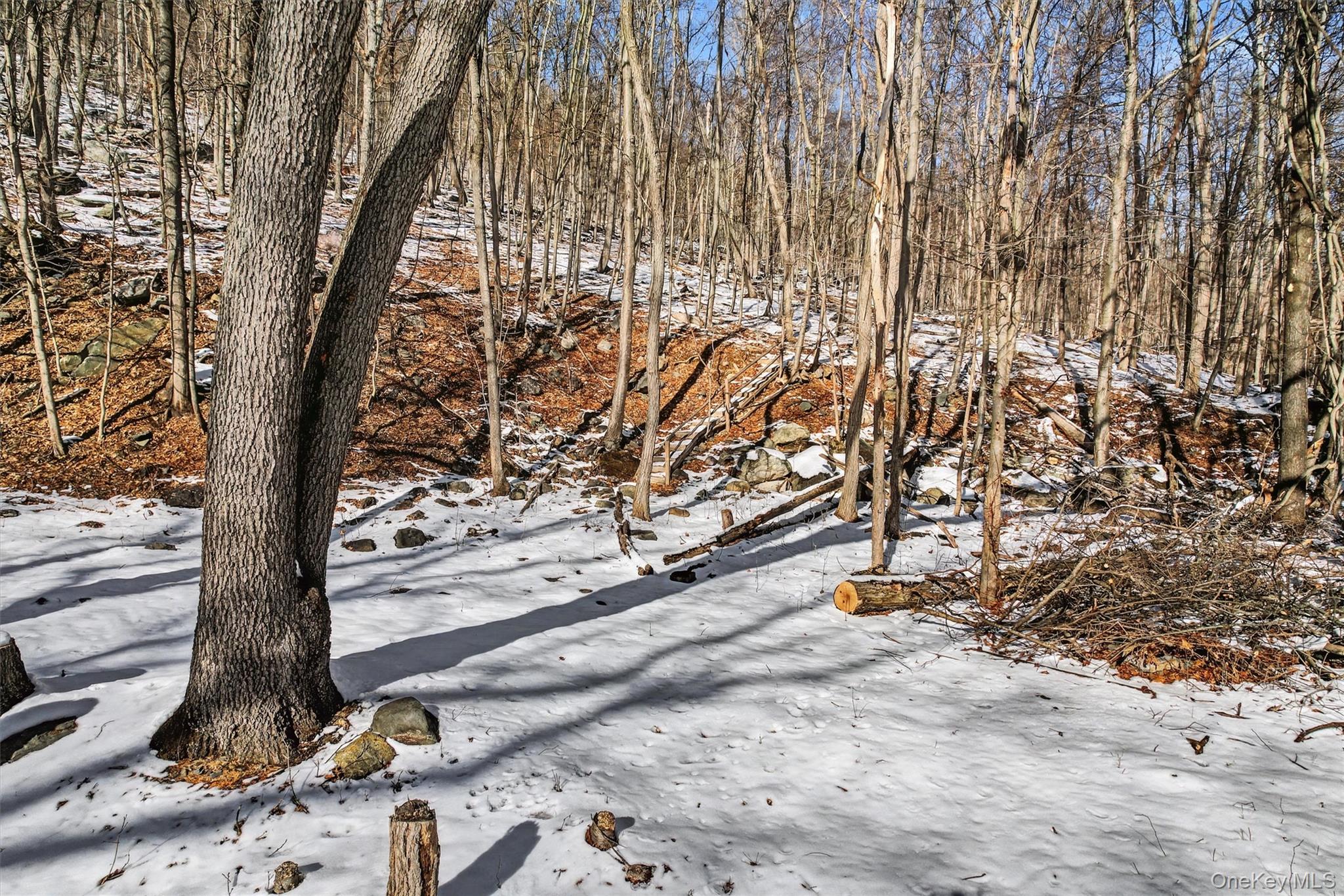 #8 photo, Louise Lane, Greenwood Lake , NY 10925