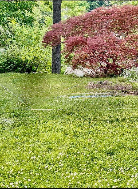 #3 photo, 4 Waldron Terrace, Sloatsburg , NY 10974