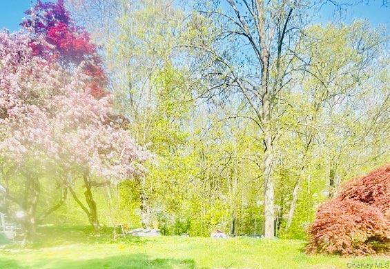 #4 photo, 4 Waldron Terrace, Sloatsburg , NY 10974