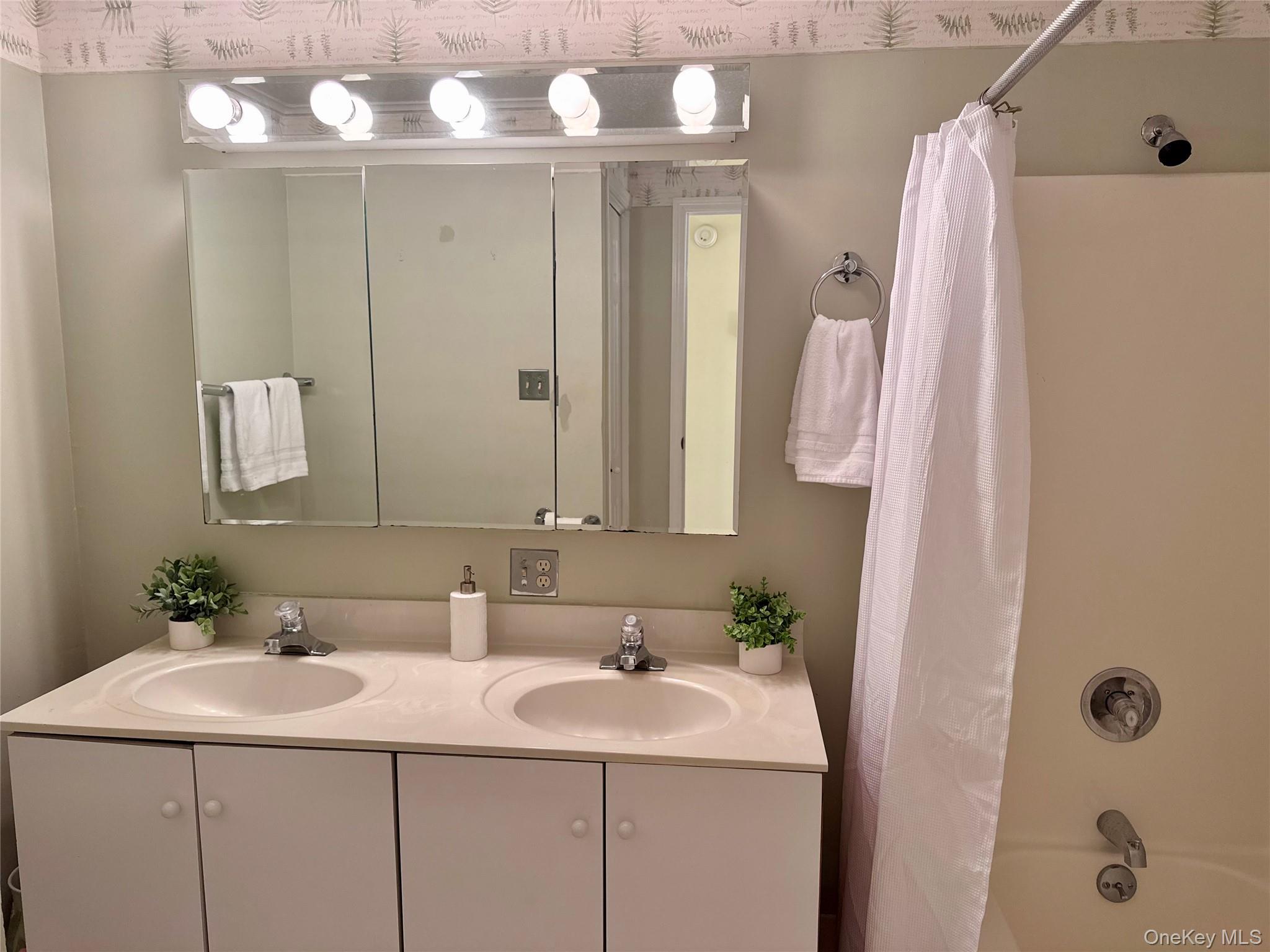 #15 photo, 20 Rose Street, White Plains , NY 10605