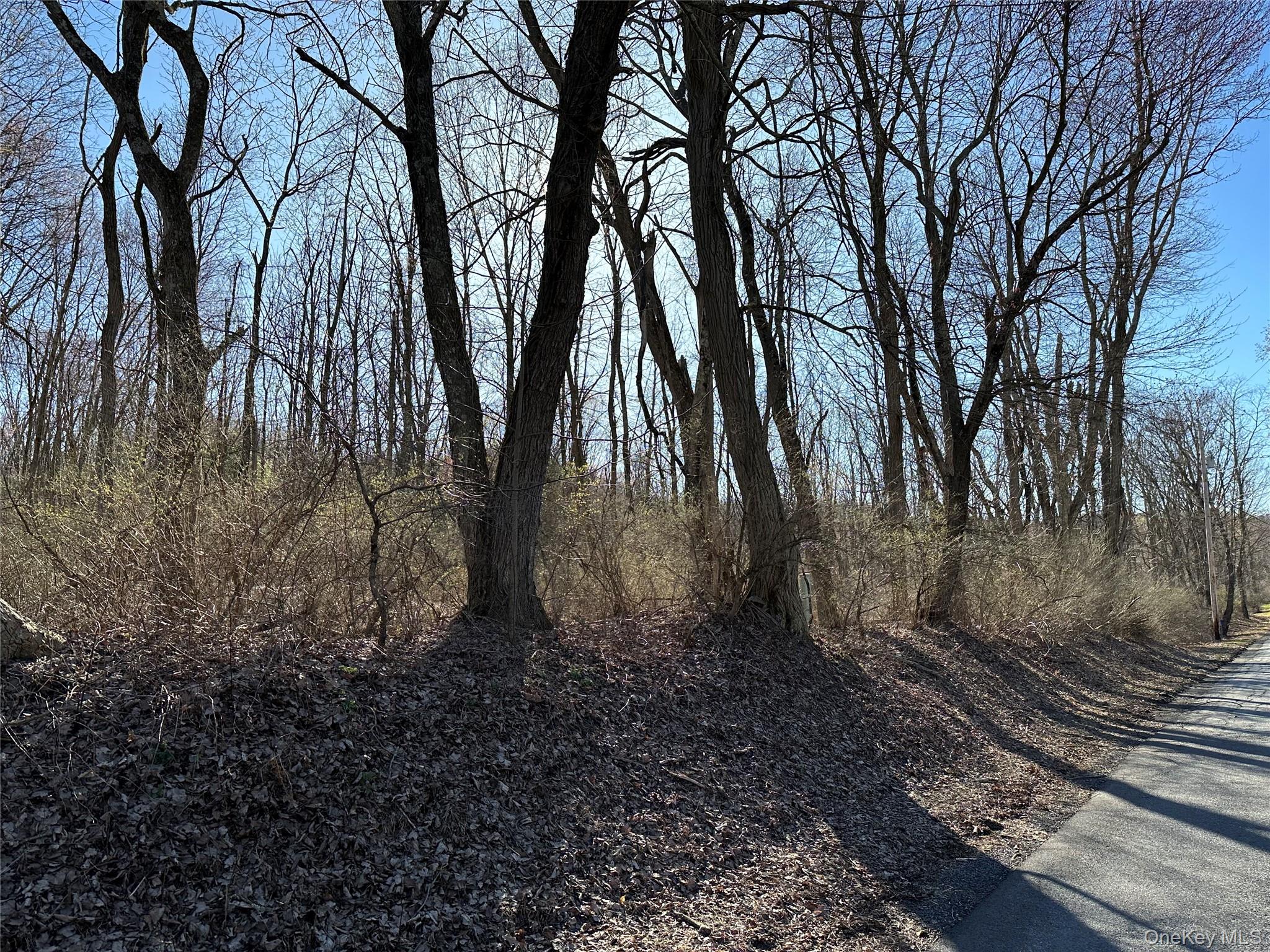 #2 photo, Schoolhouse Road, Staatsburg , NY 12580