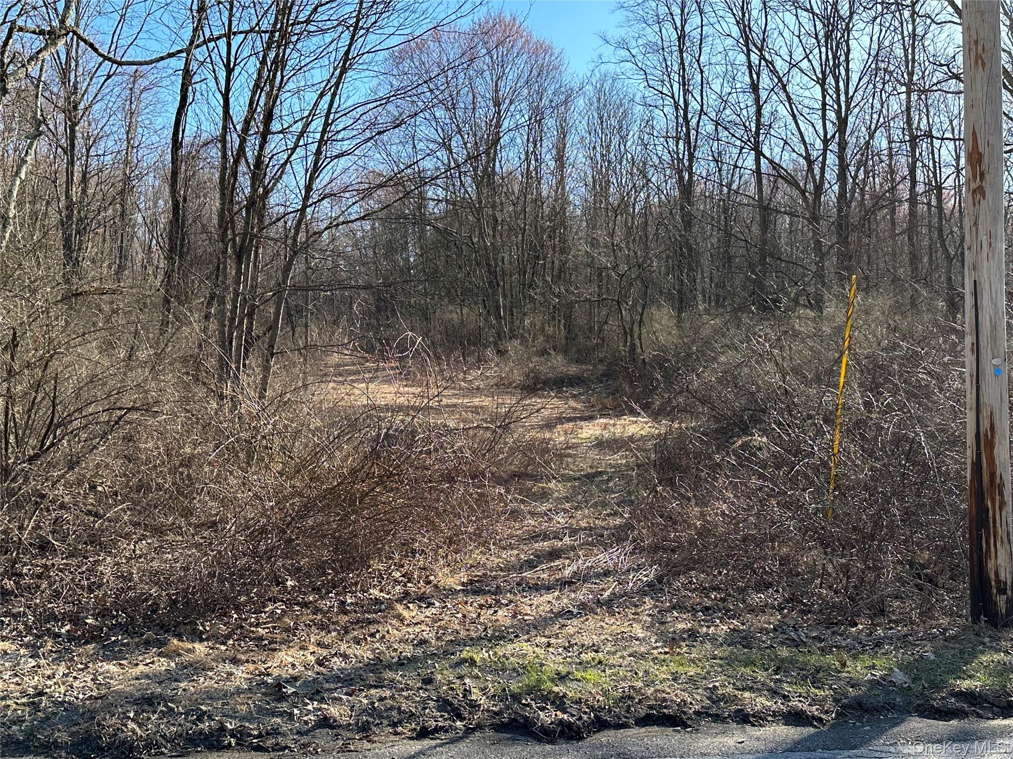 #4 photo, Schoolhouse Road, Staatsburg , NY 12580