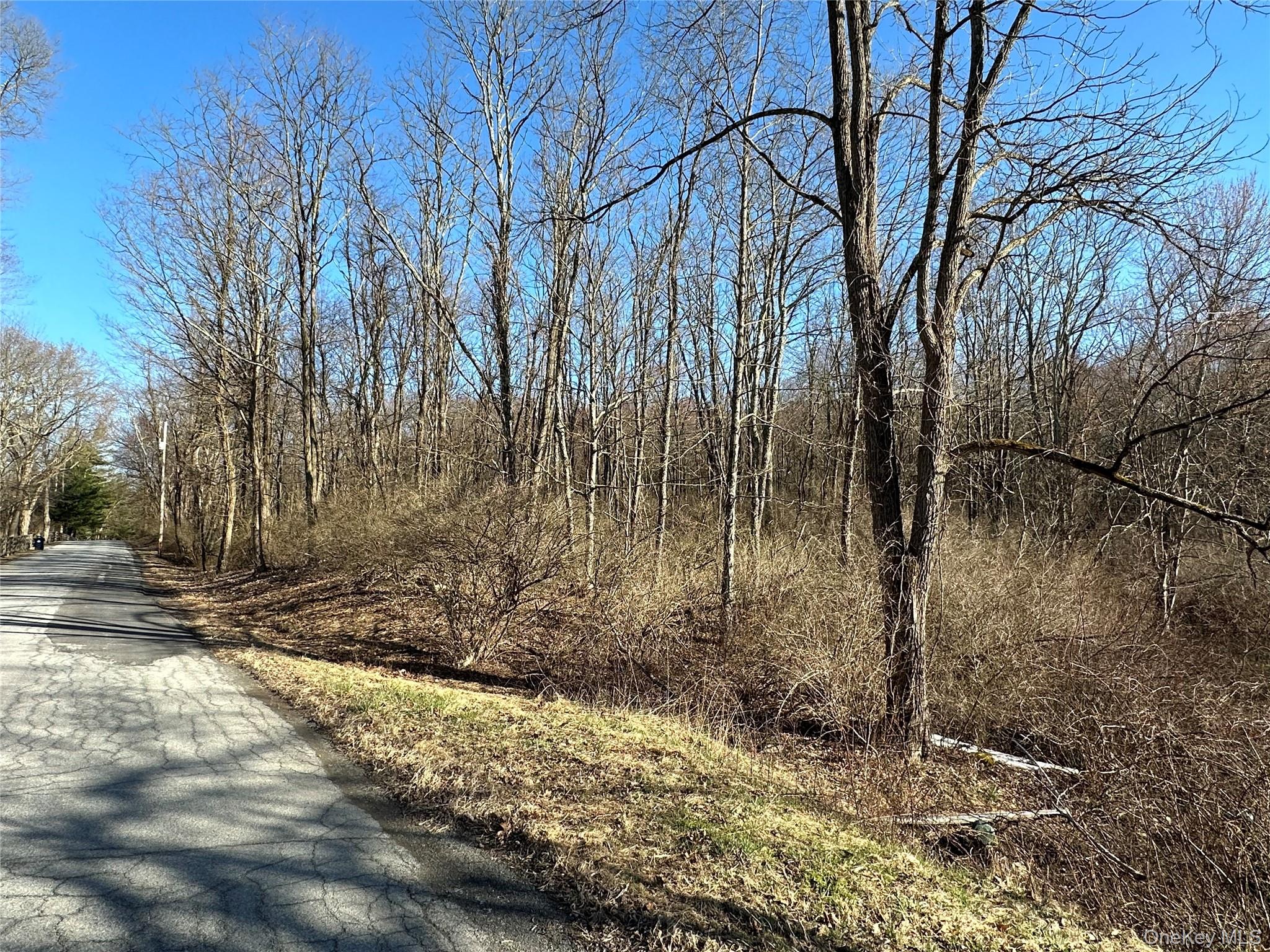 #6 photo, Schoolhouse Road, Staatsburg , NY 12580