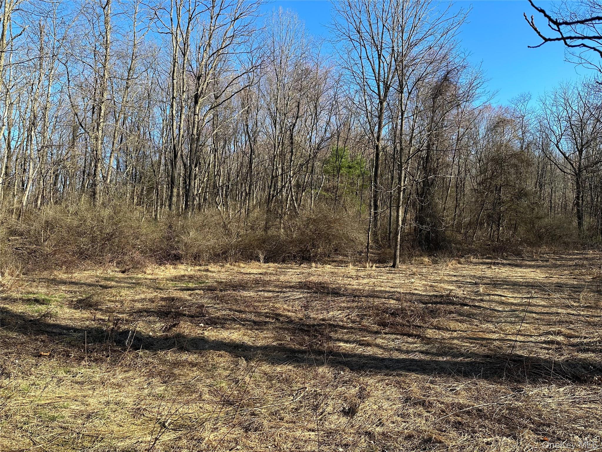 #7 photo, Schoolhouse Road, Staatsburg , NY 12580