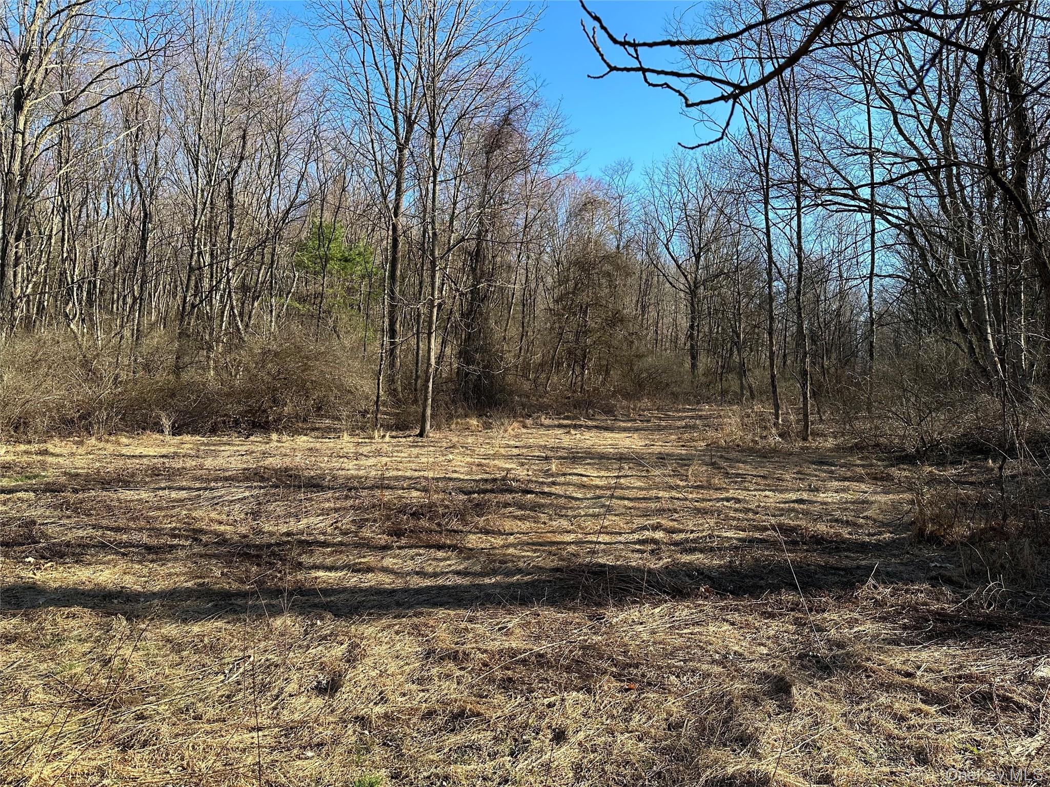 #8 photo, Schoolhouse Road, Staatsburg , NY 12580