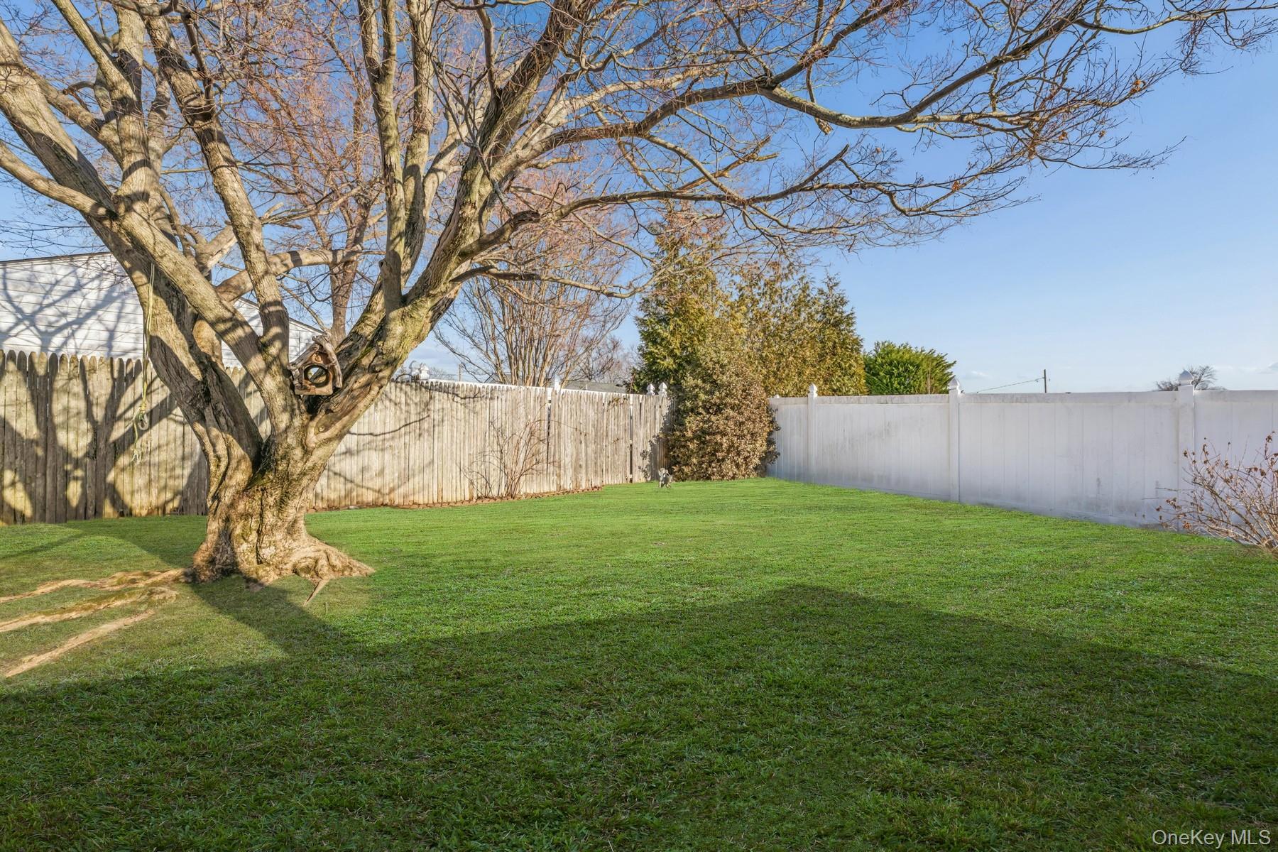 #13 photo, 253 W 20th Street, Deer Park , NY 11729