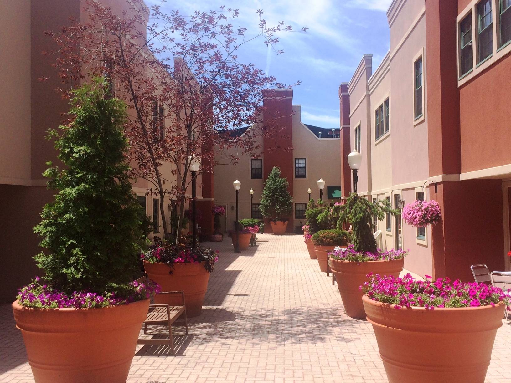 #5 photo, 133 Walton St, #Townhouse 129, Syracuse , NY 13202