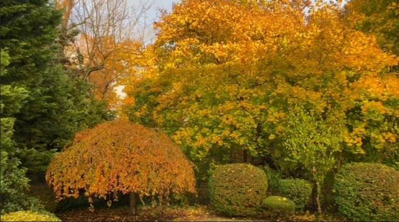 #24 photo, 57 Birchbrook Dr, Smithtown , NY 11787