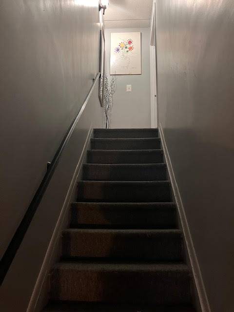 #10 photo, 641 Underhill Ave, Clason Point , NY 10473