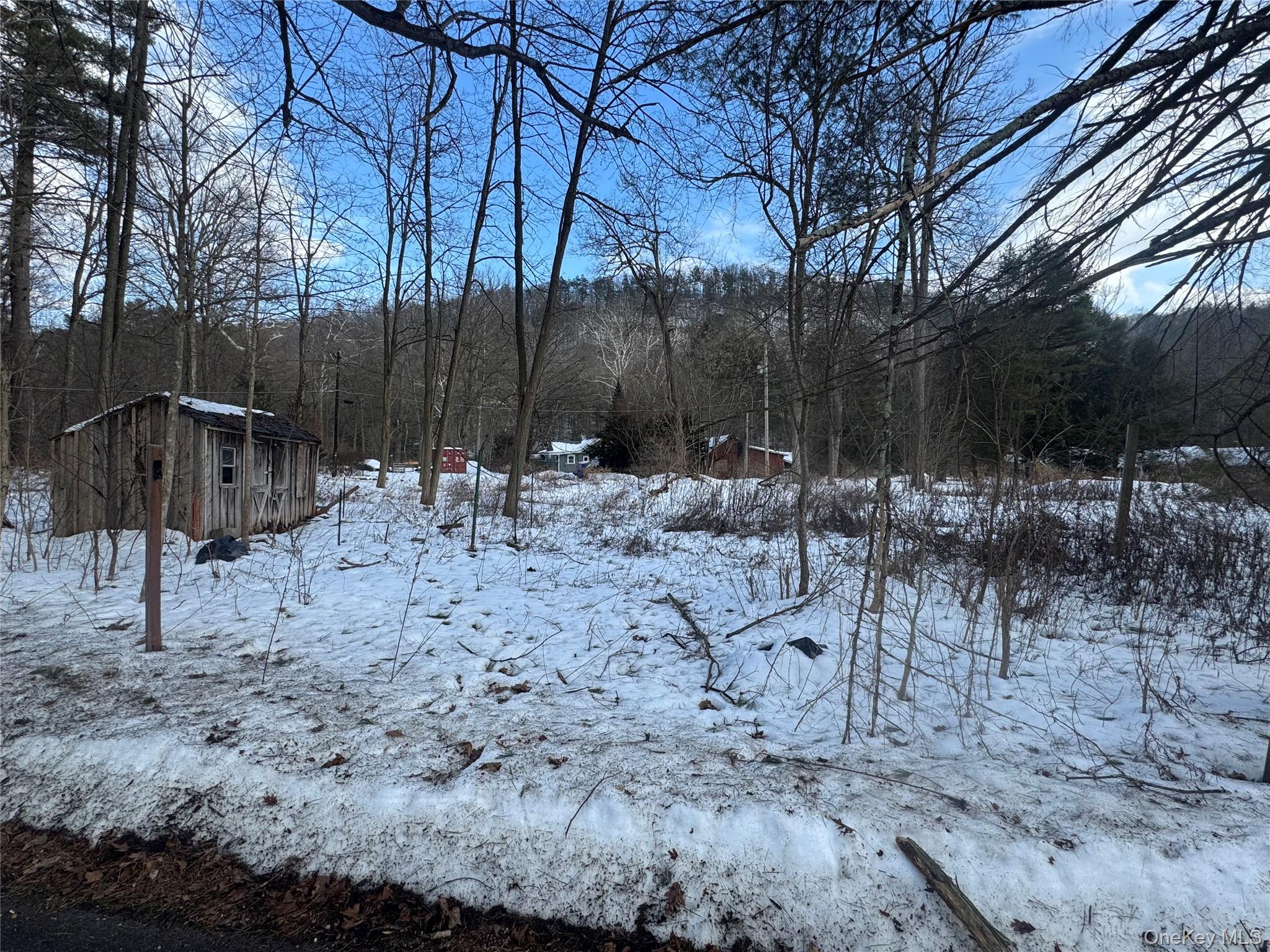 #1 photo, 6-8 Grove Street, 뉴욕주 Godeffroy , NY 12729