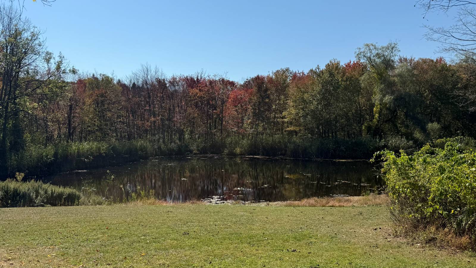 #13 photo, 224 Grape Hollow Road, Holmes , NY 12531