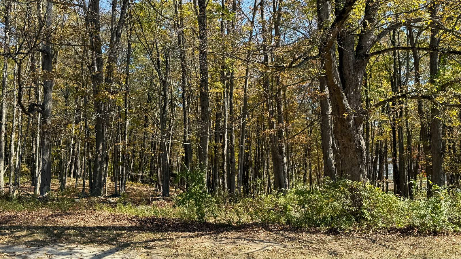 #14 photo, 224 Grape Hollow Road, Holmes , NY 12531