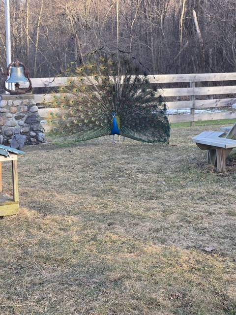 #23 photo, 62 Tybush Lane, Brunswick , NY 12180