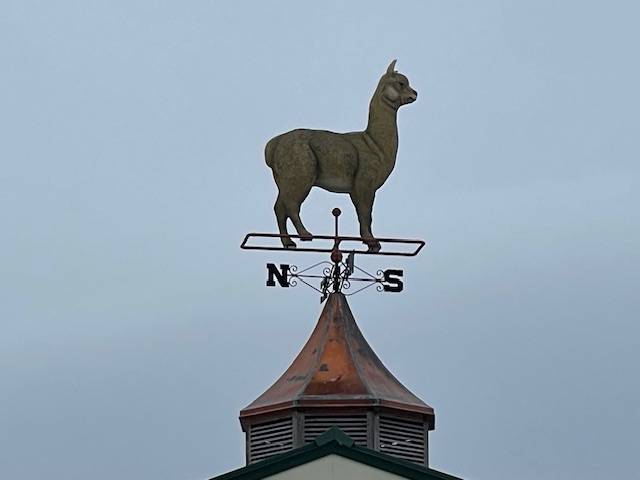 #29 photo, 62 Tybush Lane, Brunswick , NY 12180