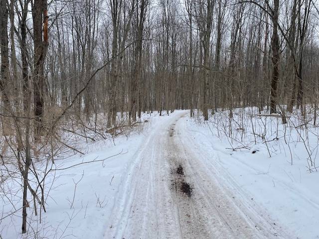 #38 photo, 62 Tybush Lane, Brunswick , NY 12180