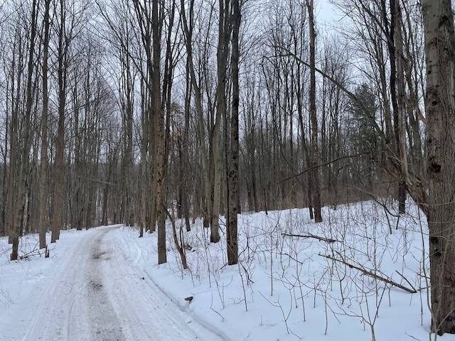 #39 photo, 62 Tybush Lane, Brunswick , NY 12180