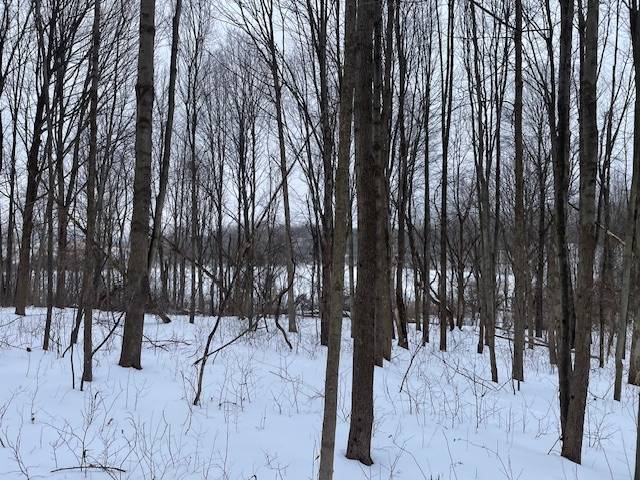 #43 photo, 62 Tybush Lane, Brunswick , NY 12180