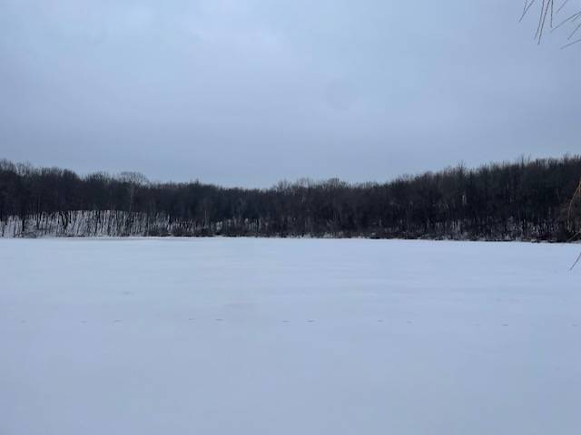 #46 photo, 62 Tybush Lane, Brunswick , NY 12180