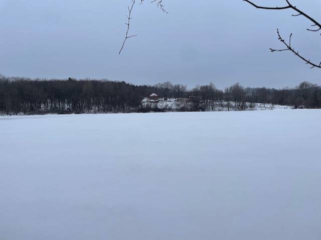 #47 photo, 62 Tybush Lane, Brunswick , NY 12180