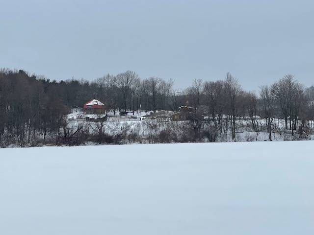 #49 photo, 62 Tybush Lane, Brunswick , NY 12180