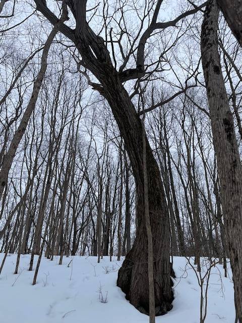 #54 photo, 62 Tybush Lane, Brunswick , NY 12180