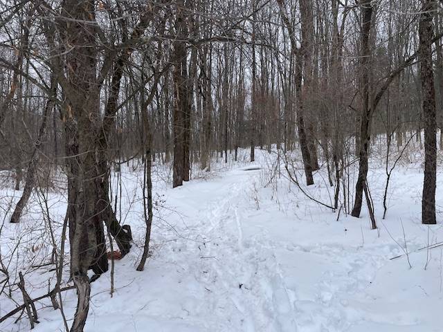 #56 photo, 62 Tybush Lane, Brunswick , NY 12180