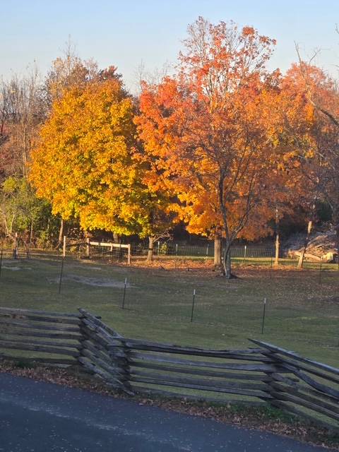 #59 photo, 62 Tybush Lane, Brunswick , NY 12180